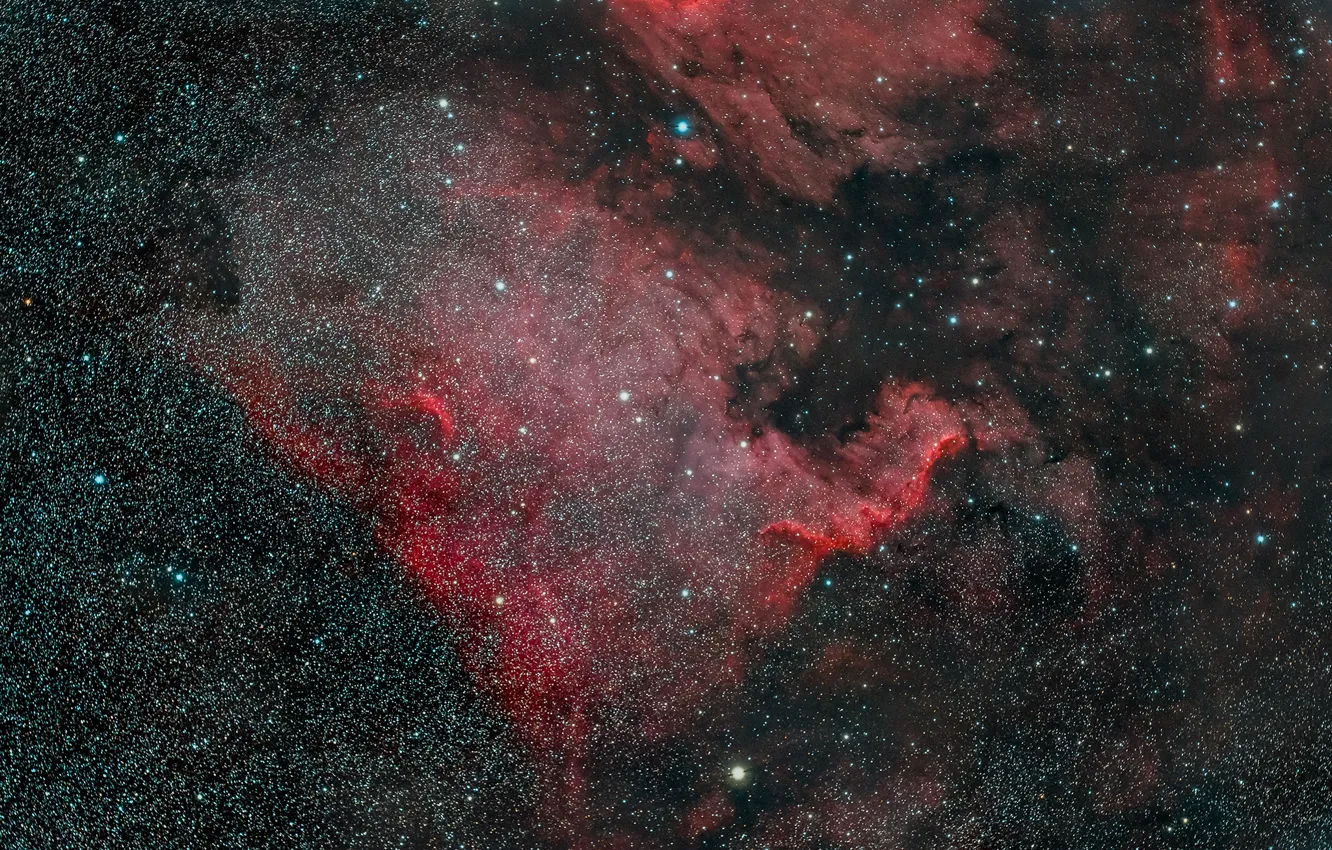 Photo wallpaper Nebula, North America, in the constellation Swan