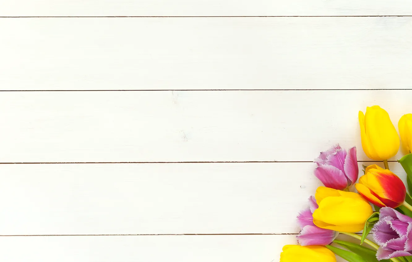Photo wallpaper flowers, spring, colorful, tulips, fresh, wood, flowers, beautiful
