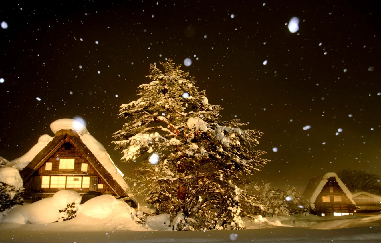 Photo wallpaper winter, snow, trees, night, home