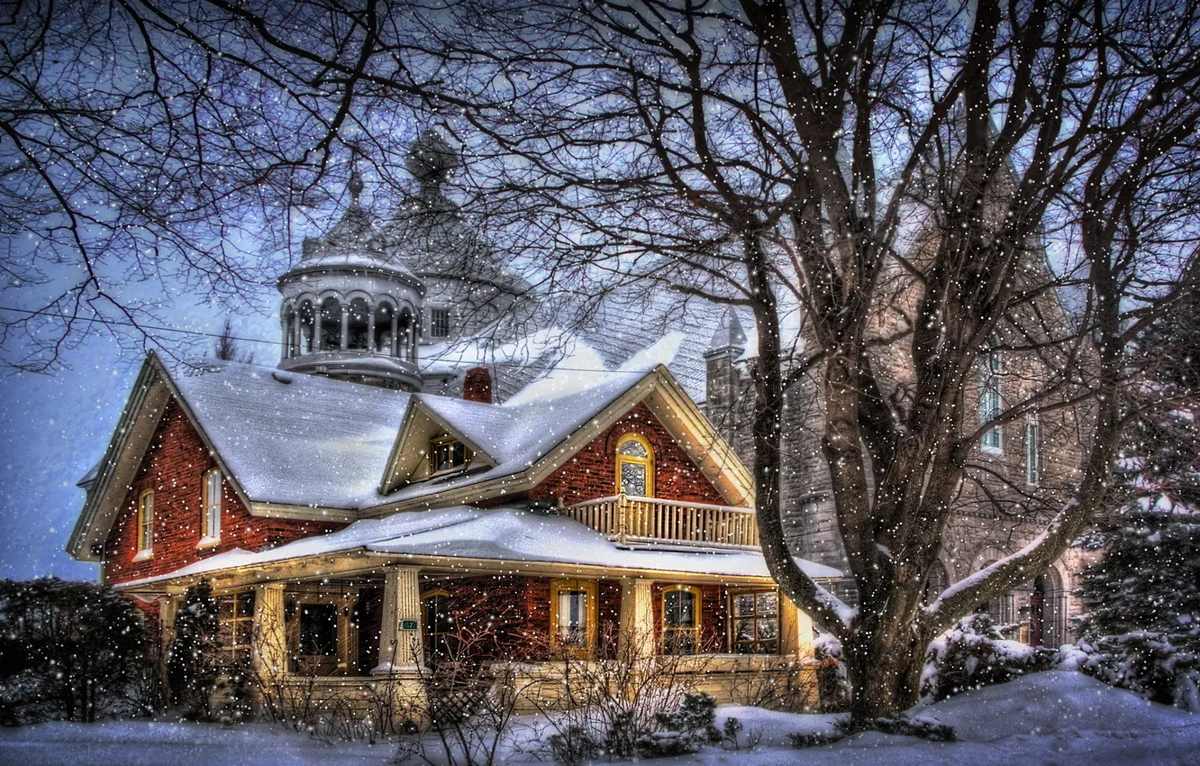 Photo wallpaper snow, trees, style, fantasy, home