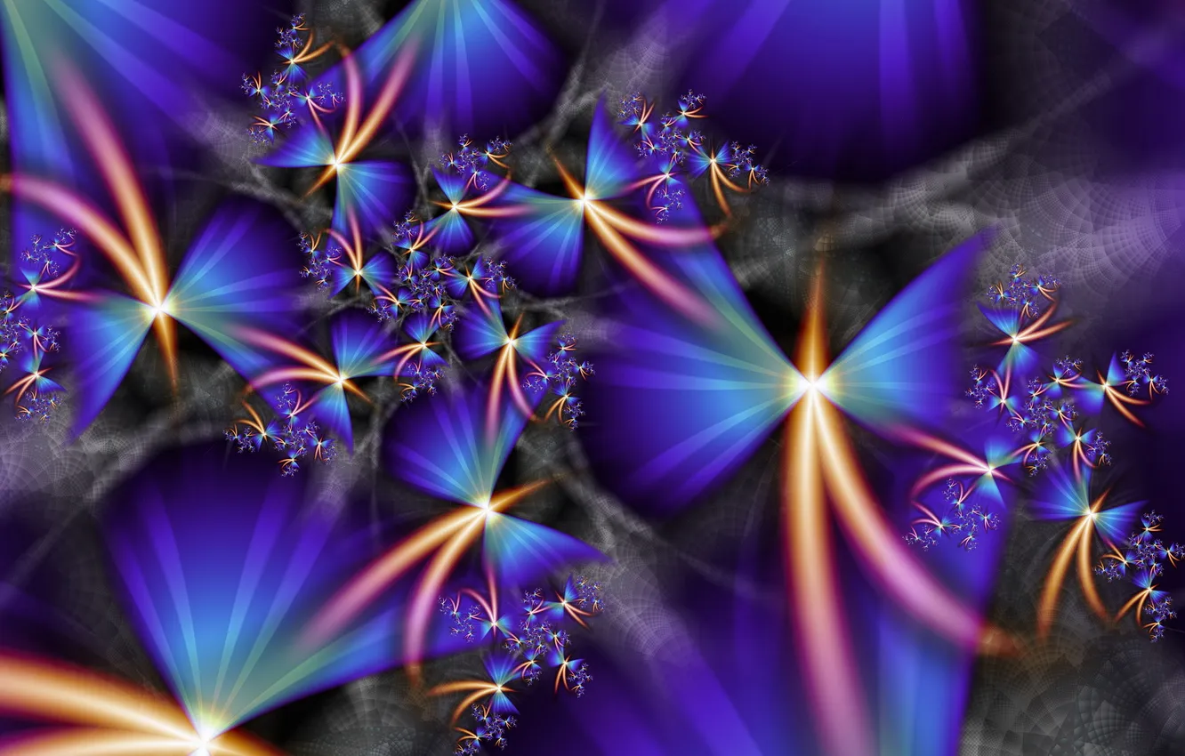 Photo wallpaper bird, wings, tail, bright