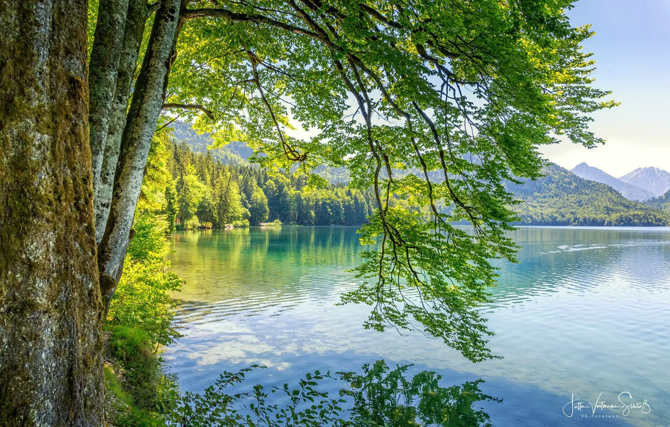 Photo wallpaper forest, the sun, mountains, nature, lake, Jutta Voetmann-Schlub