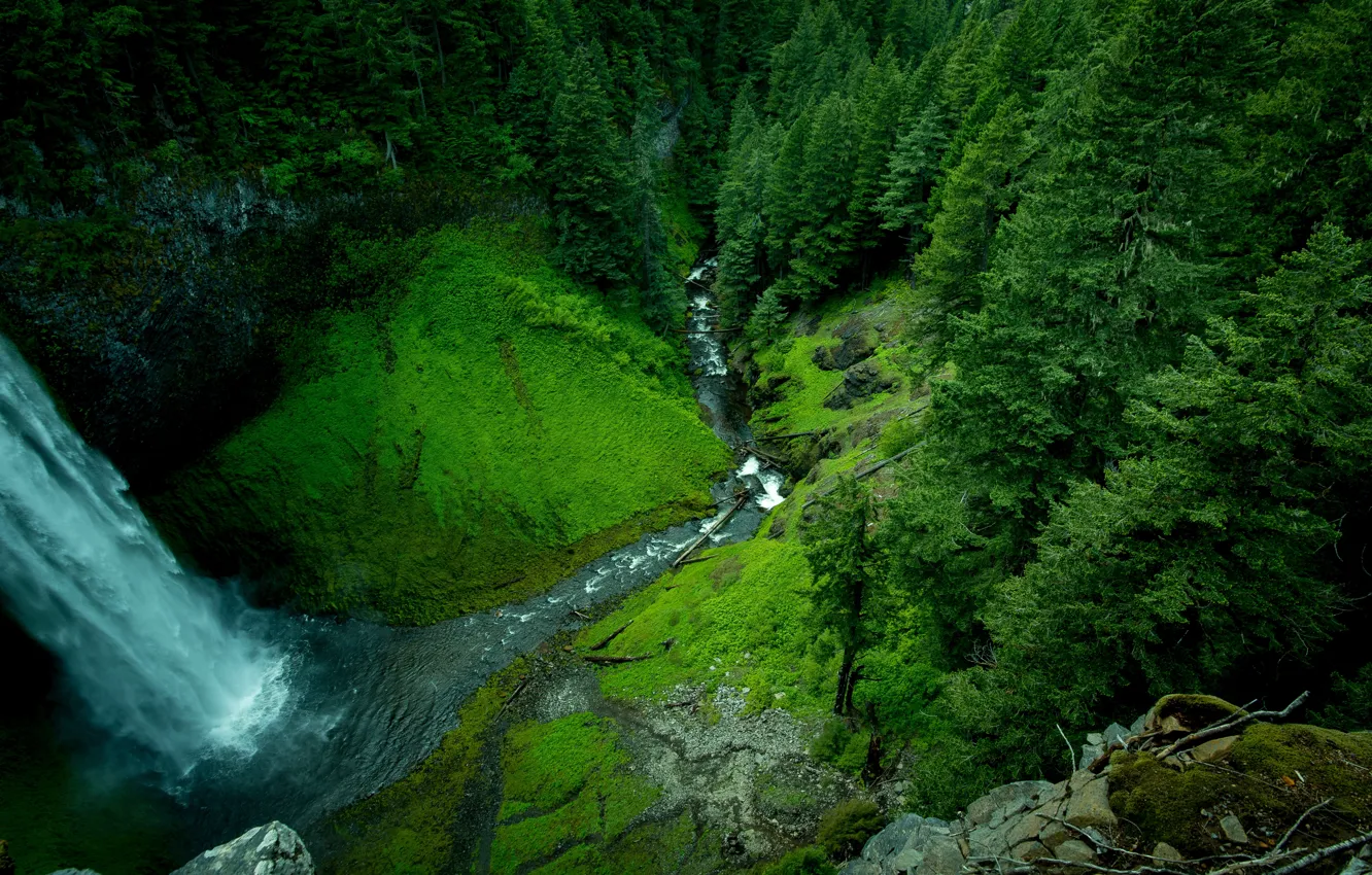Photo wallpaper forest, mountains, river, photo, waterfall