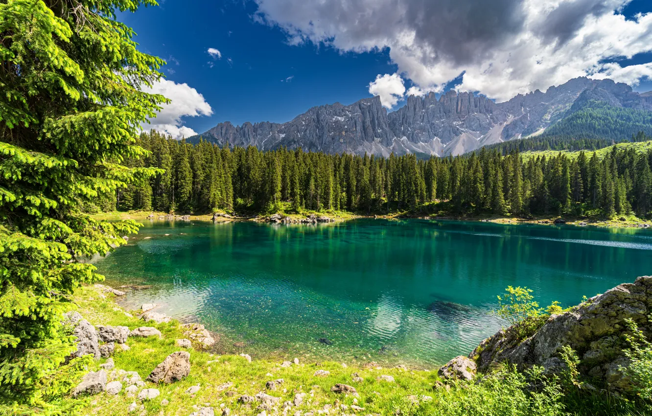 Photo wallpaper forest, mountains, lake, shore