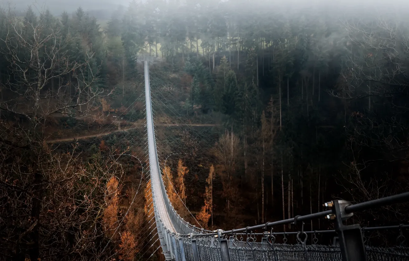 Photo wallpaper bridge, nature, fog