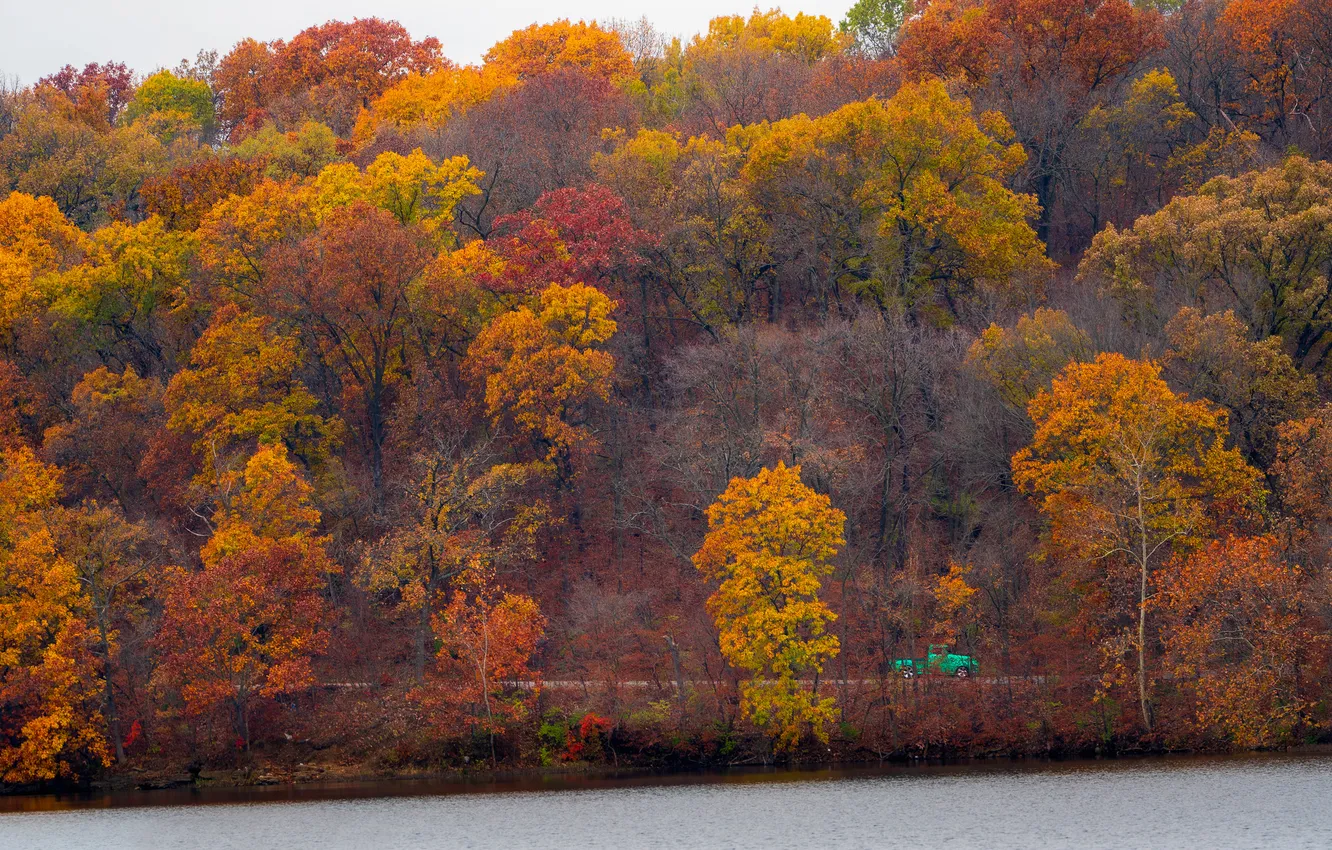 Photo wallpaper road, machine, autumn, forest, trees, river, shore, slope