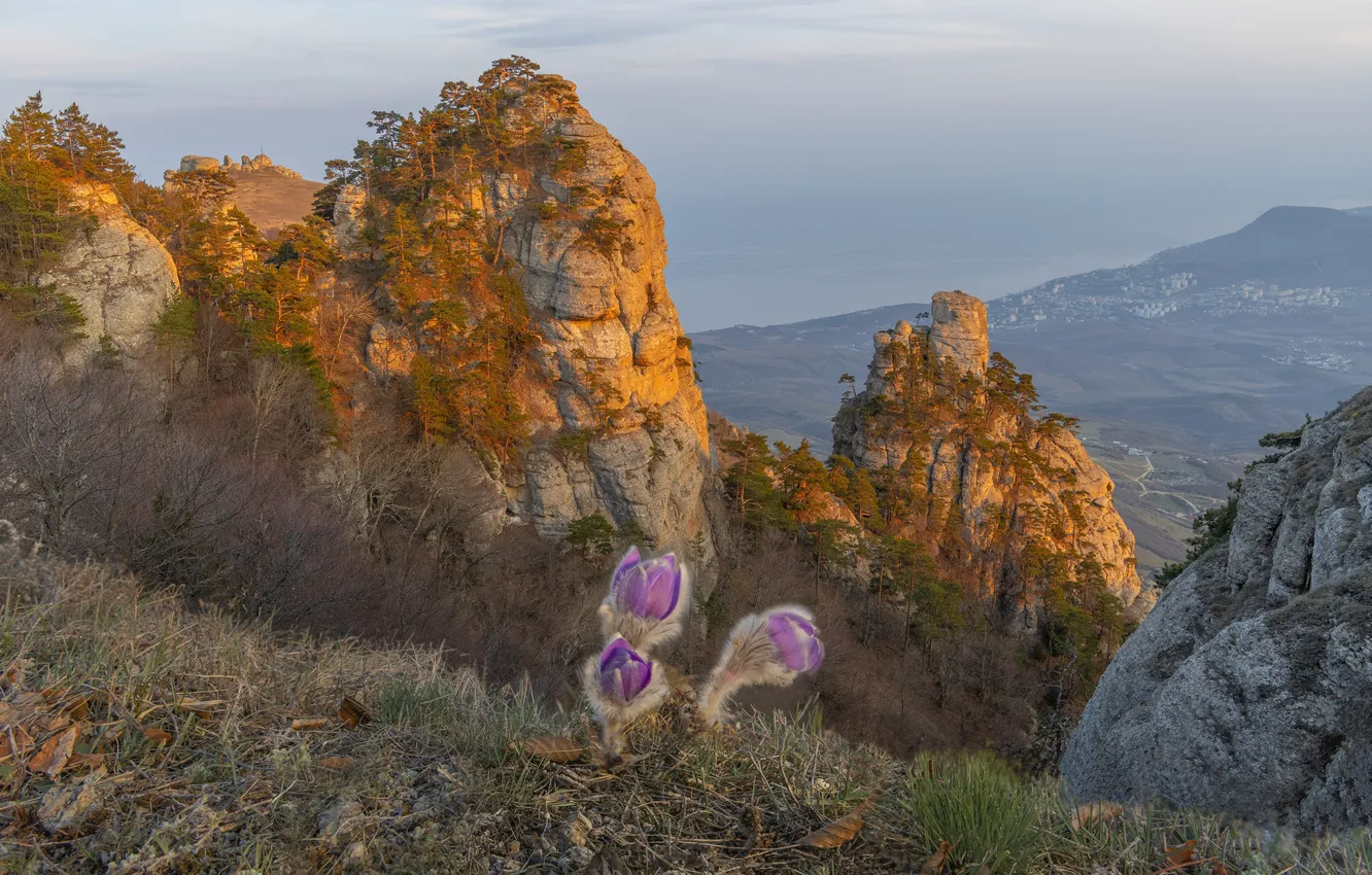 Photo wallpaper landscape, flowers, nature, rocks, spring, Crimea, sleep-grass, cross
