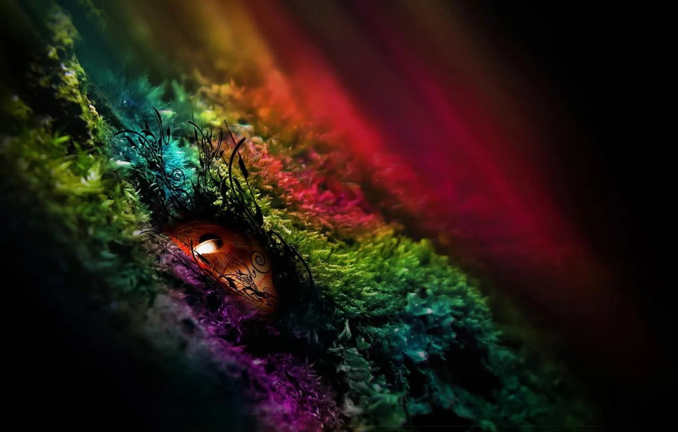 Photo wallpaper eyes, pattern, the pupil