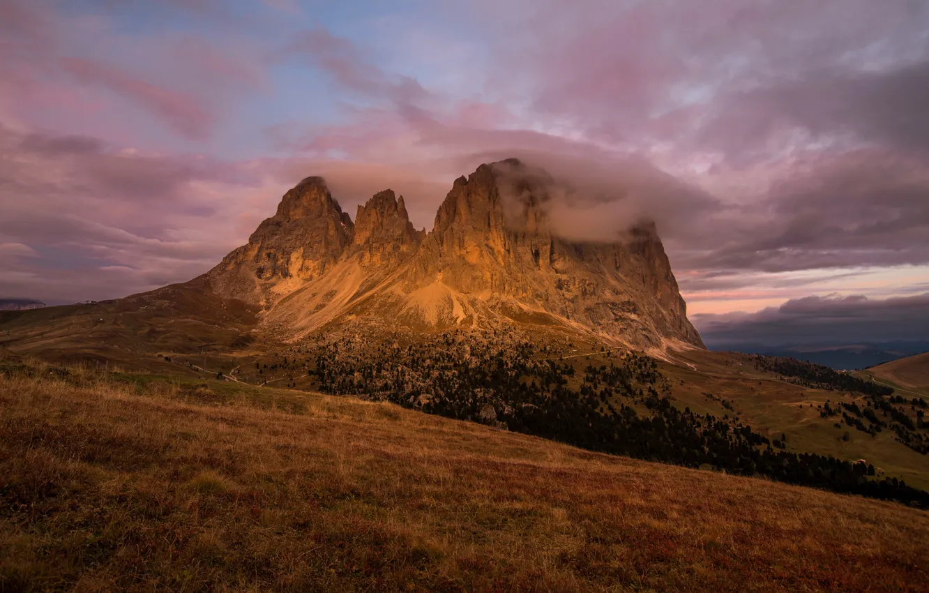 Photo wallpaper field, autumn, forest, the sky, clouds, mountains, rocks, tops