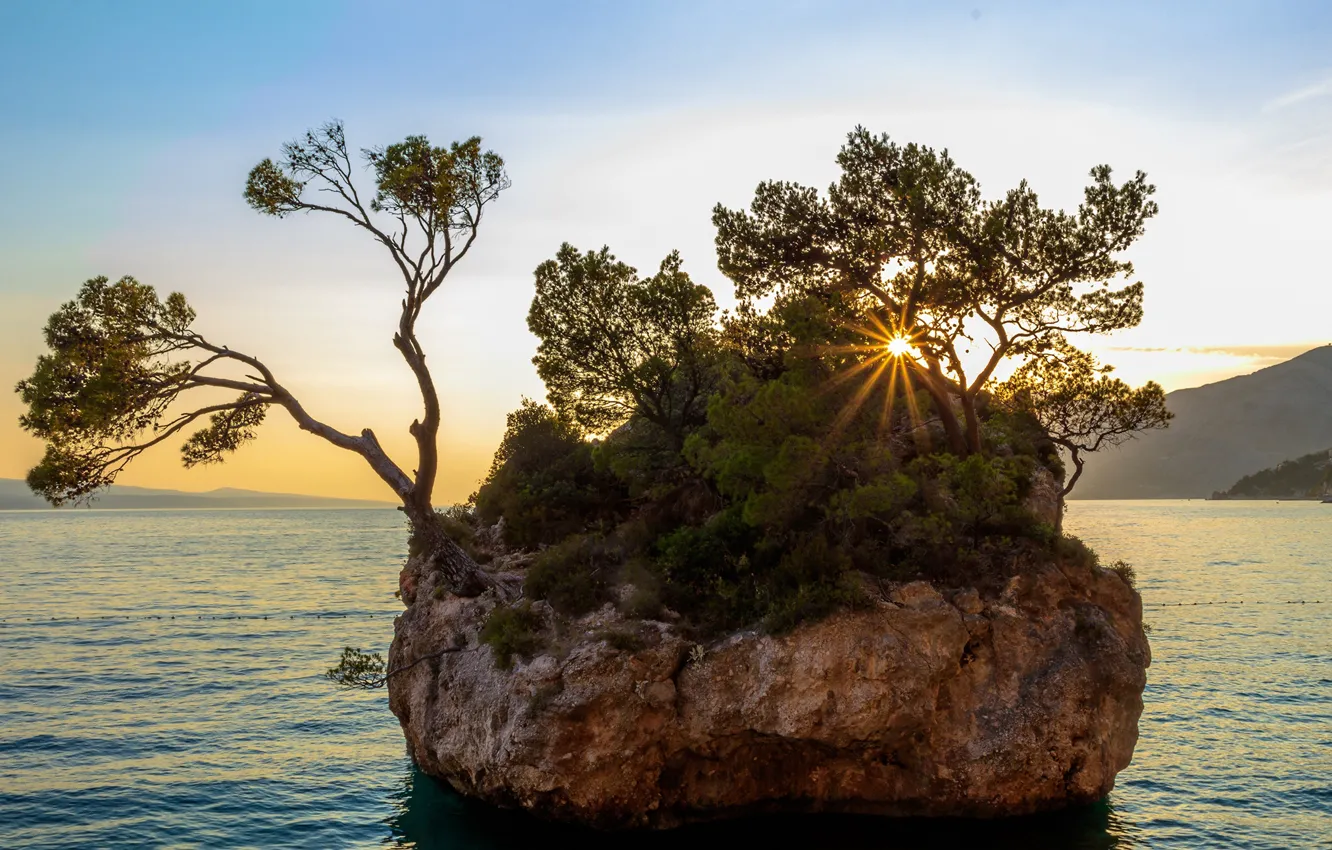 Photo wallpaper sea, the sky, the sun, trees, rocks, coast, Bay, Croatia