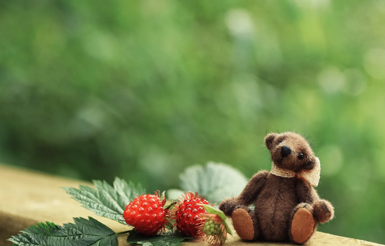 Photo wallpaper summer, leaves, childhood, green, berries, raspberry, background, toy