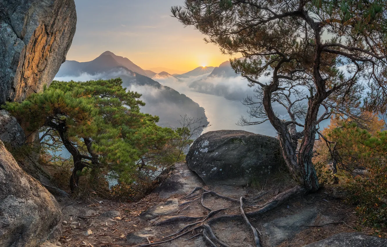 Photo wallpaper the sun, clouds, trees, landscape, mountains, nature, fog, river