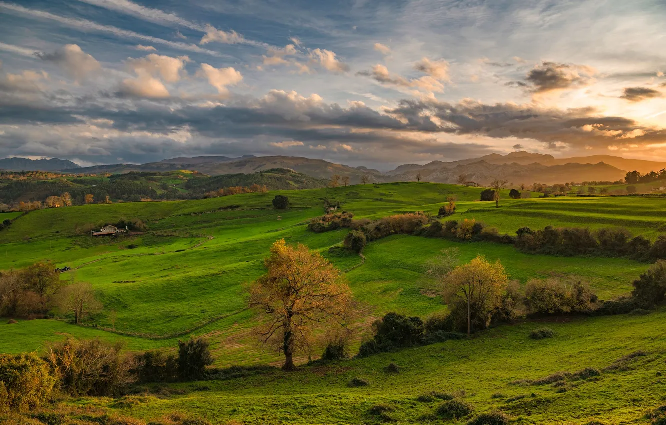 Photo wallpaper field, clouds, green grass, valley, horizon, autumn day, Ruslan Avdevich, Picturesque Landscape