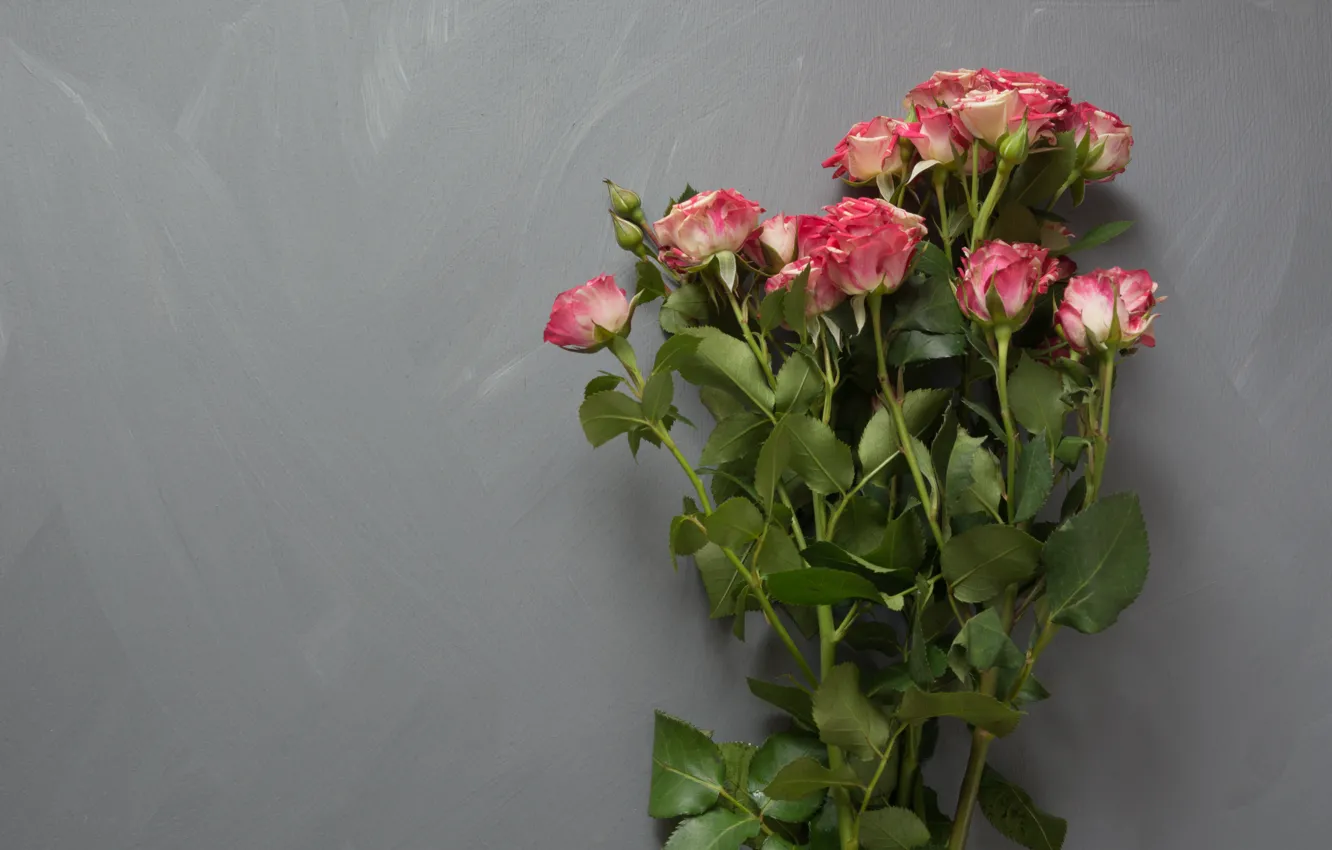 Photo wallpaper grey, background, roses, bouquet, Lazhko Svetlana