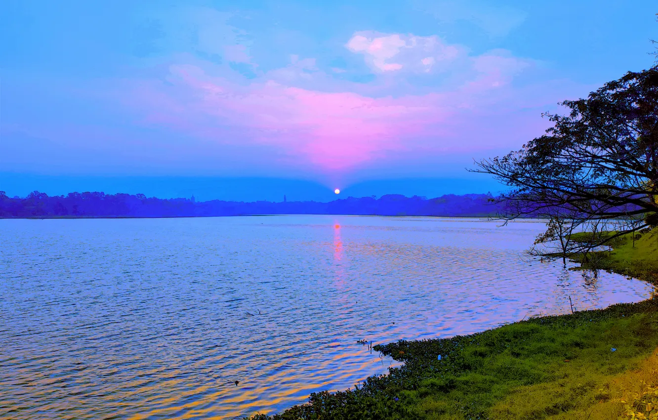 Photo wallpaper trees, water, lake, morning, sun, sunrise, dawn, woods