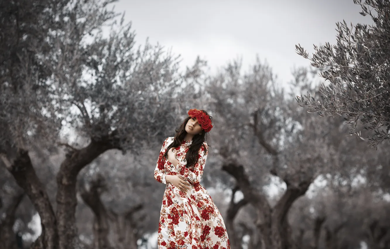 Photo wallpaper girl, flowers, style, background, dress