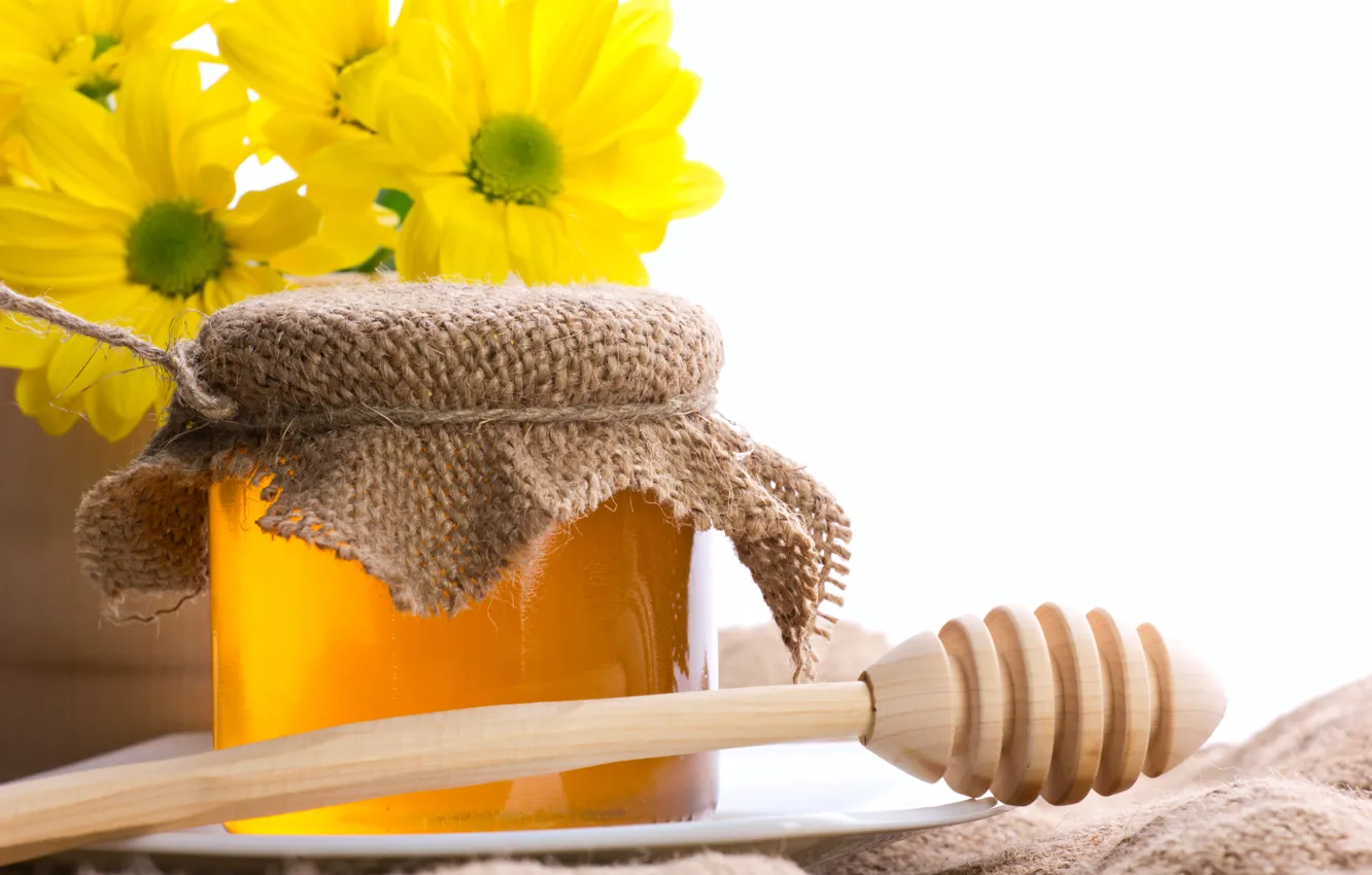 Photo wallpaper flowers, honey, Bank, chrysanthemum