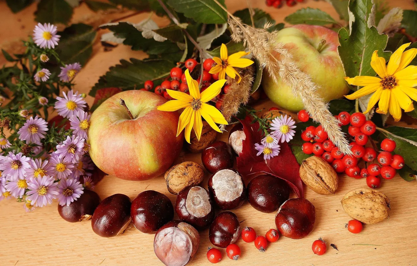 Photo wallpaper flower, autumn, composition