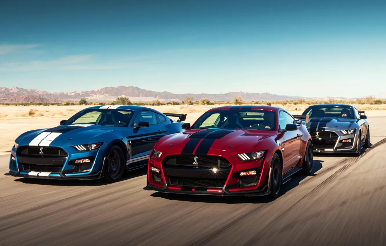 Photo wallpaper speed, Mustang, Ford, Shelby, GT500, 2019