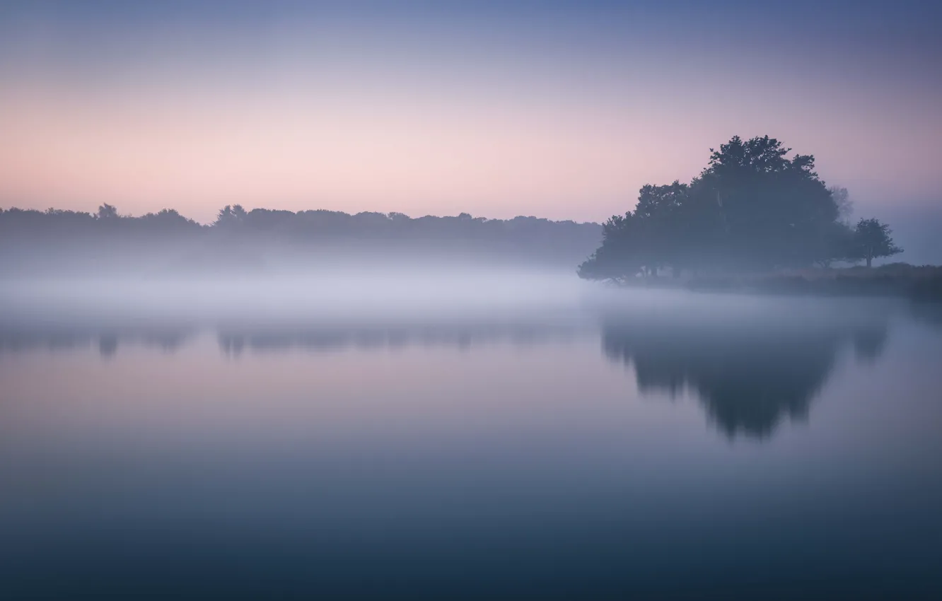 Photo wallpaper lake, morning, fog, dawn, mist, lakeshore
