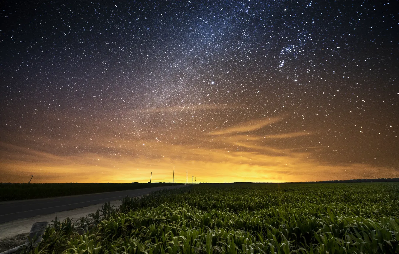 Photo wallpaper road, field, the sky, stars, night