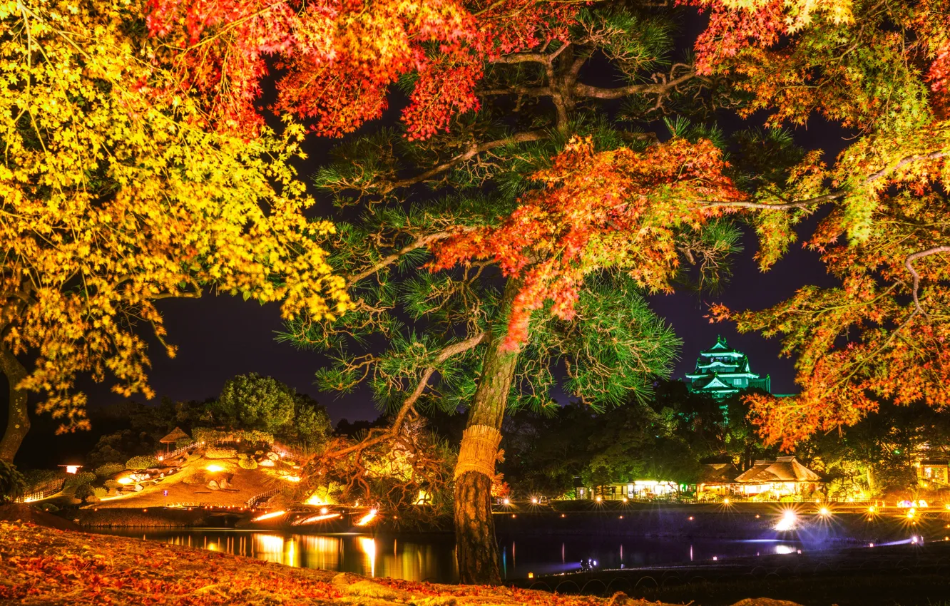 Photo wallpaper autumn, trees, night, lights, Park, Japan, pagoda, Okayama