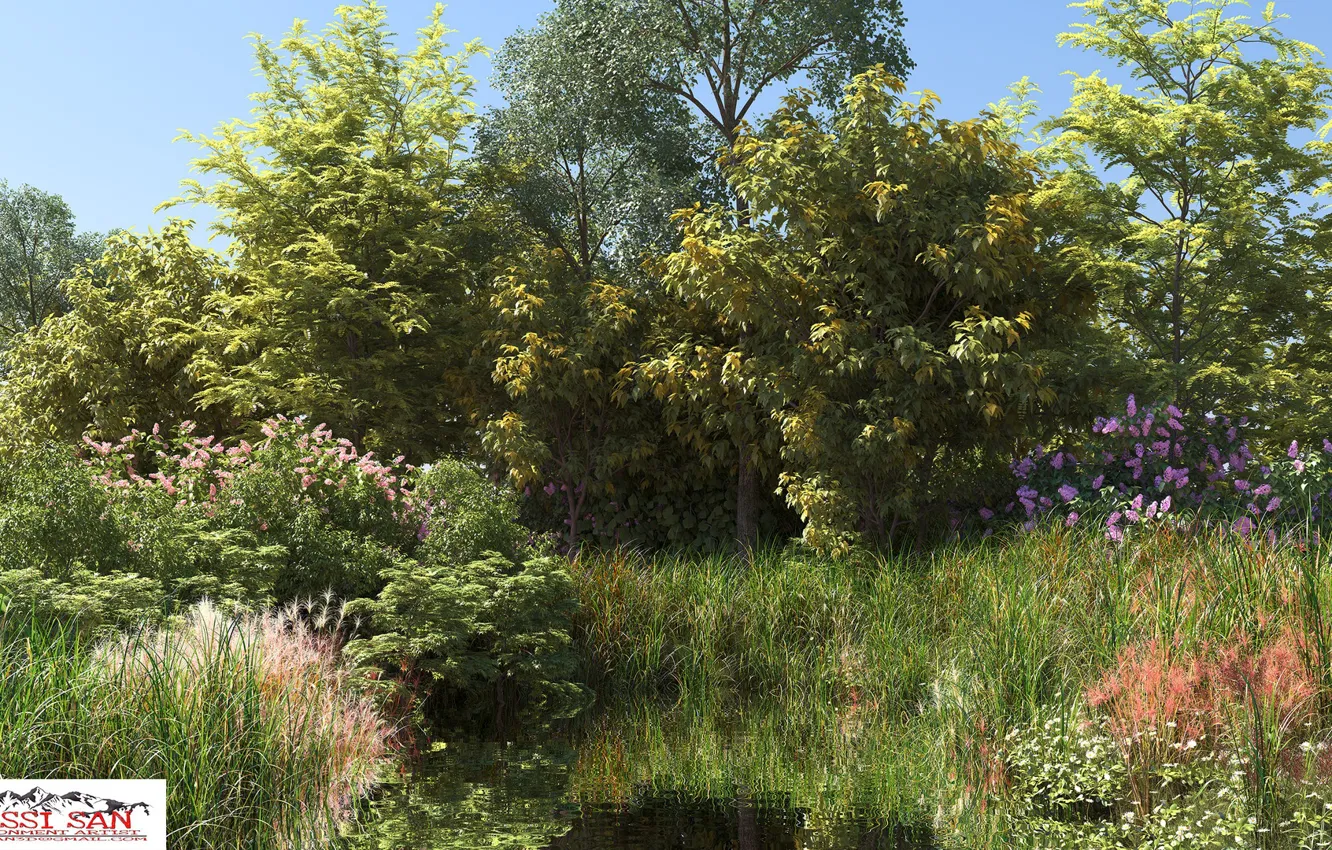 Photo wallpaper summer, nature, vegetation, pond, property