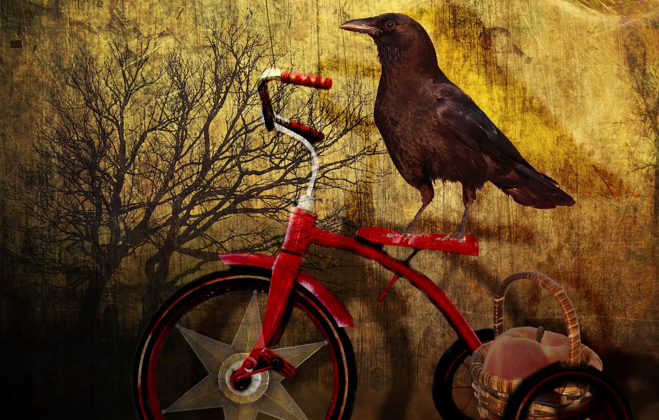 Photo wallpaper bike, tree, bird, Raven, basket, peach