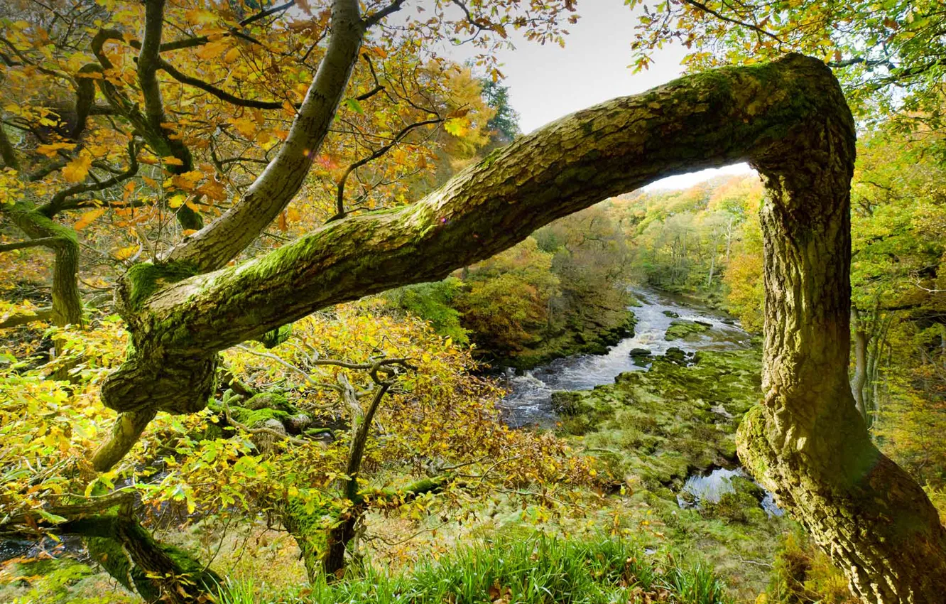 Photo wallpaper England, North Yorkshire, The River Wharfe