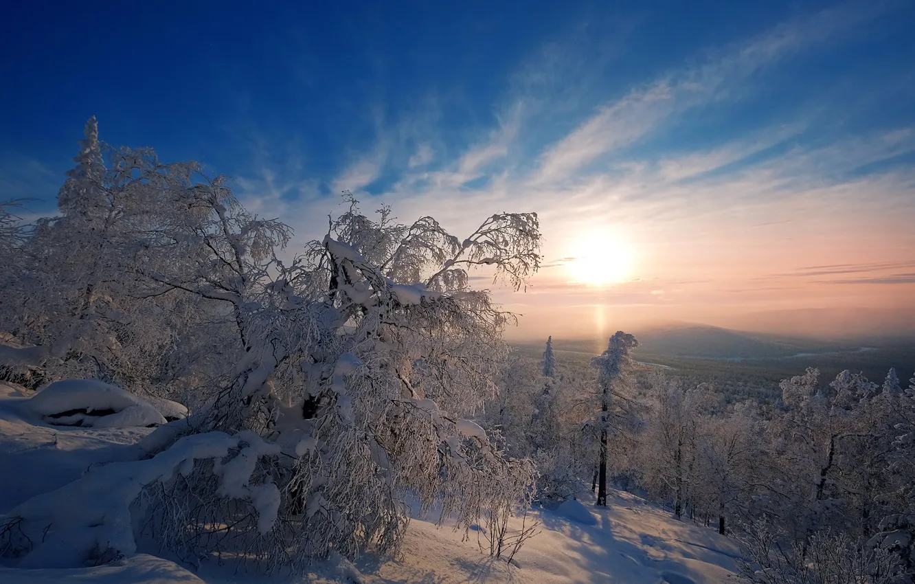 Photo wallpaper winter, snow, trees, dawn, morning, Russia