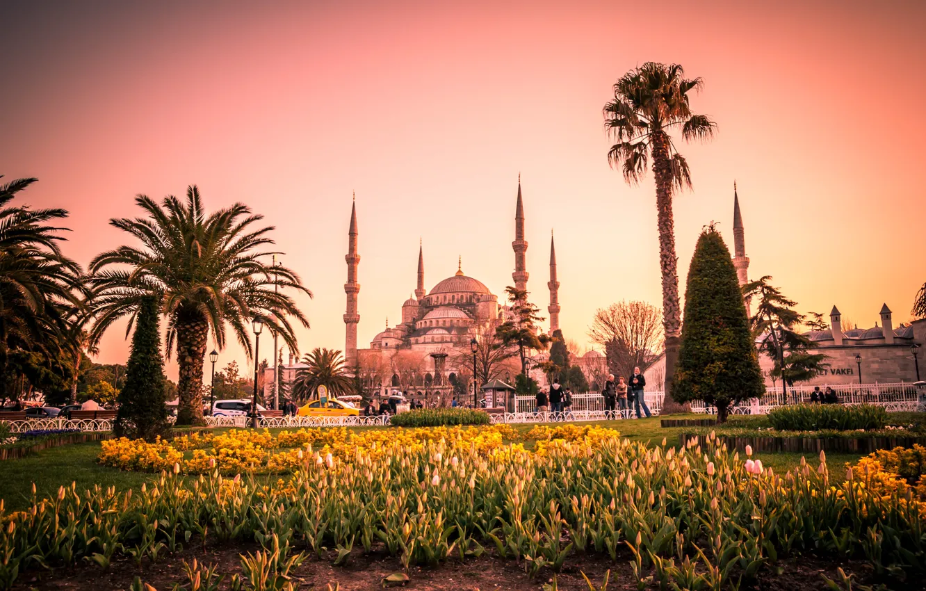 Photo wallpaper flowers, palm trees, lawn, tulips, tower, temple, Istanbul, Turkey