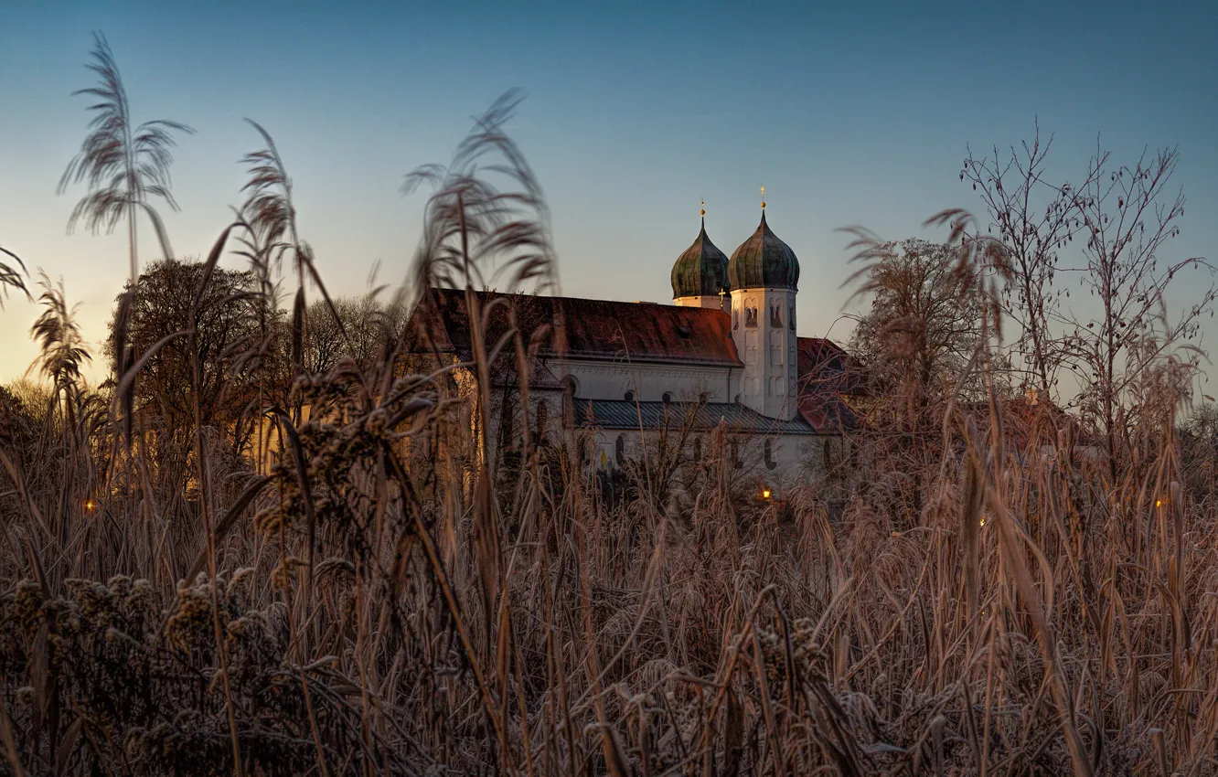 Photo wallpaper roof, field, autumn, the sky, grass, light, thickets, vegetation