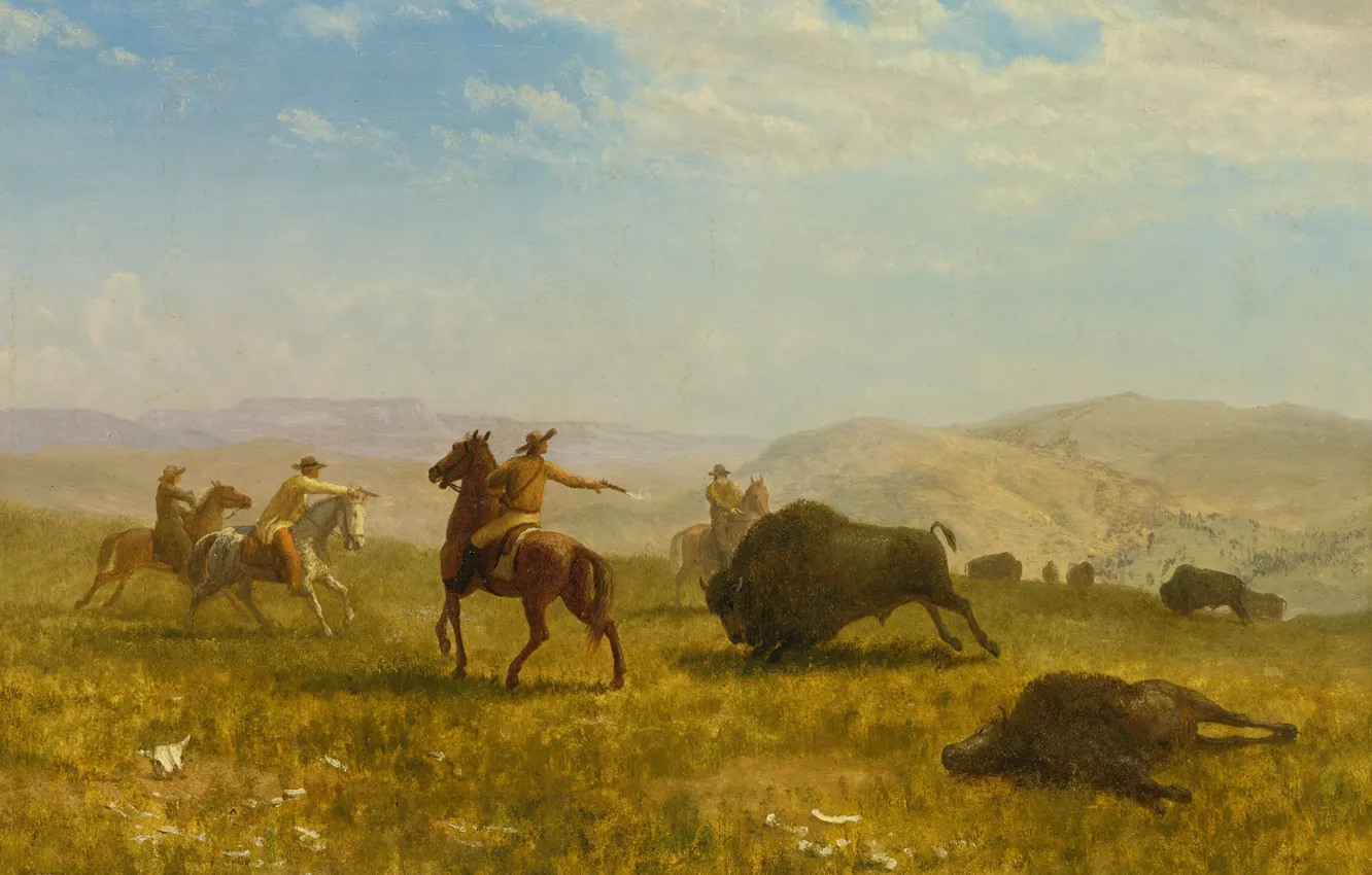 Photo wallpaper picture, hunting, cowboy, wild West, Buffalo, Albert Bierstadt