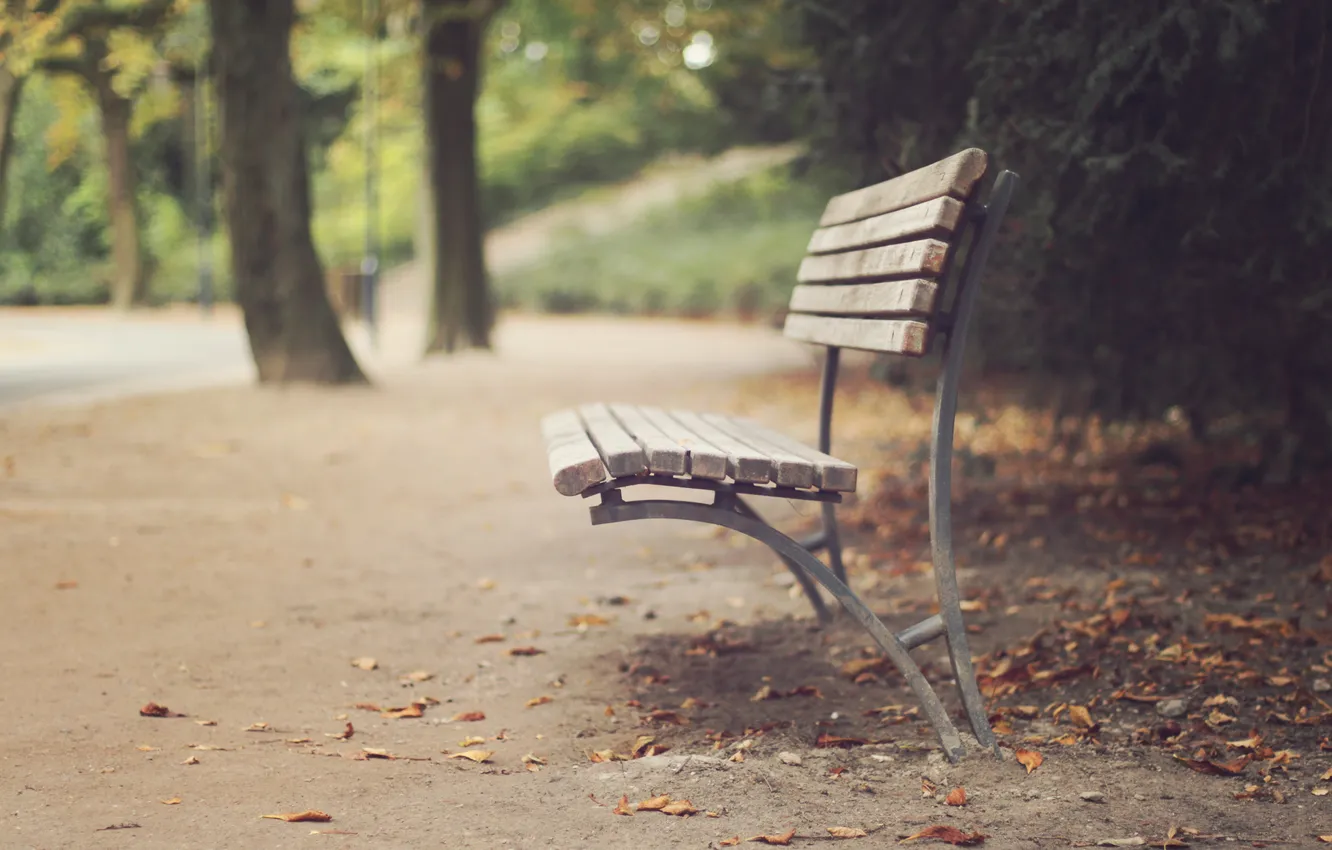 Photo wallpaper autumn, bench, bench
