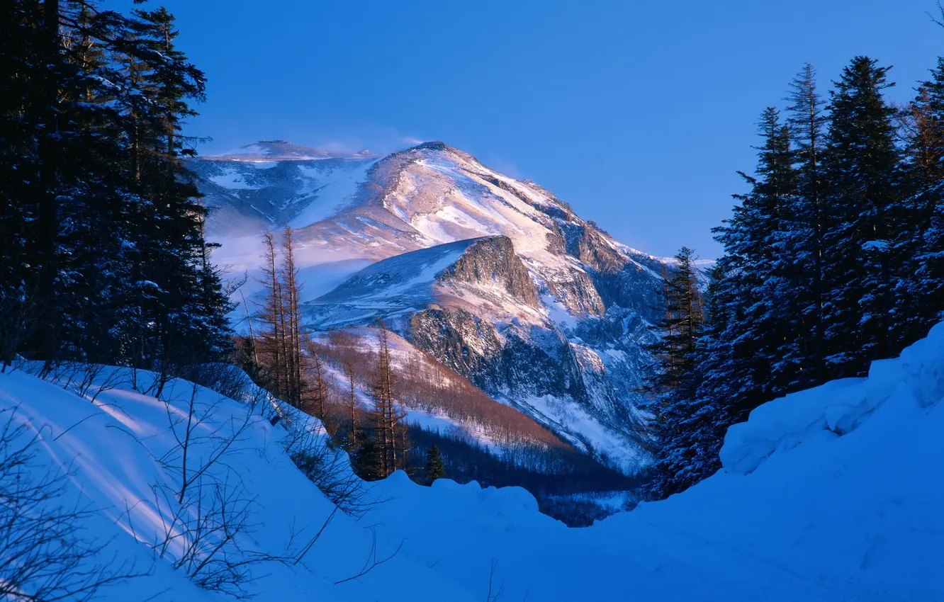 Photo wallpaper winter, forest, snow, mountains, nature, photo