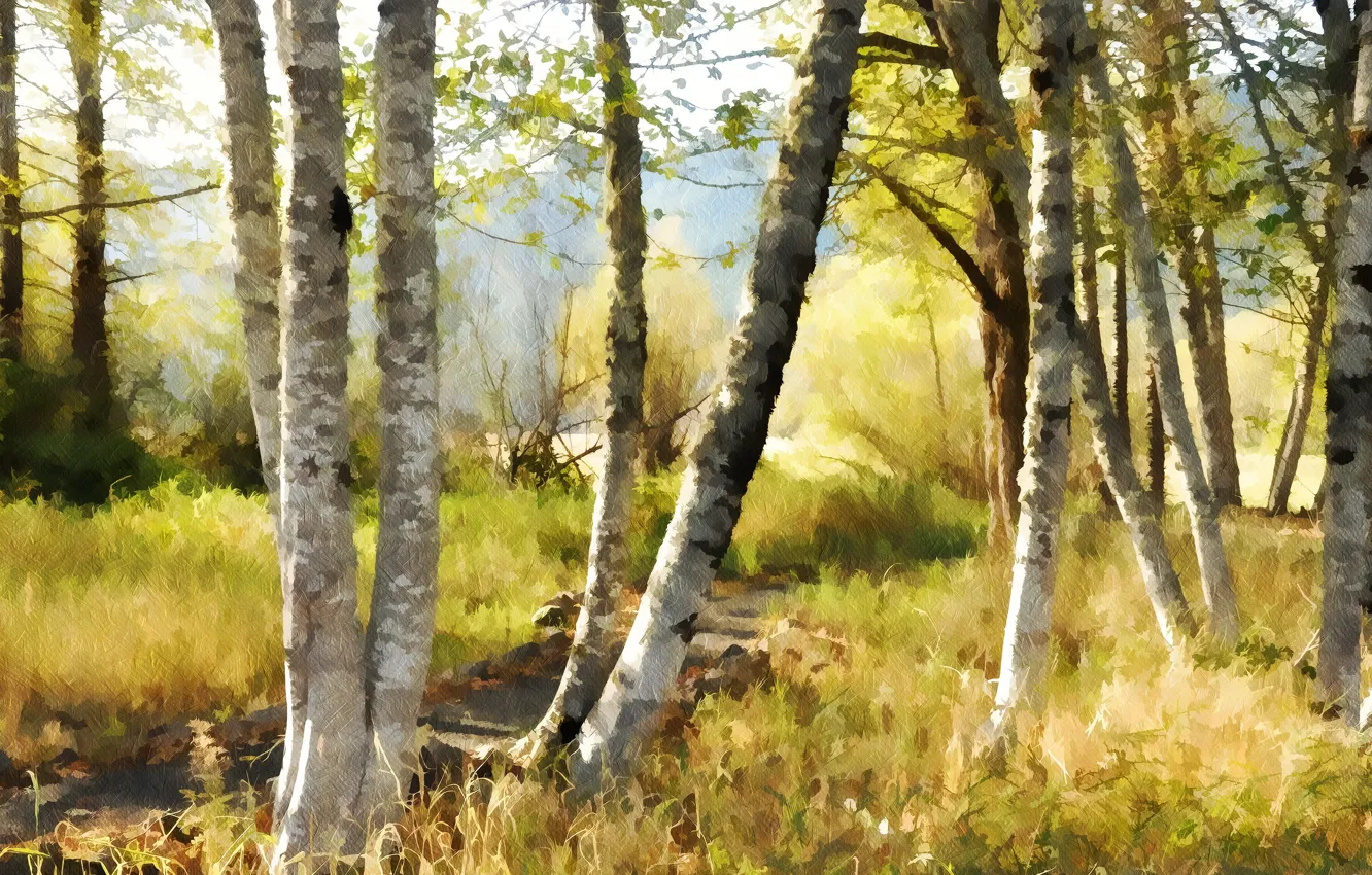 Photo wallpaper nature, background, birch