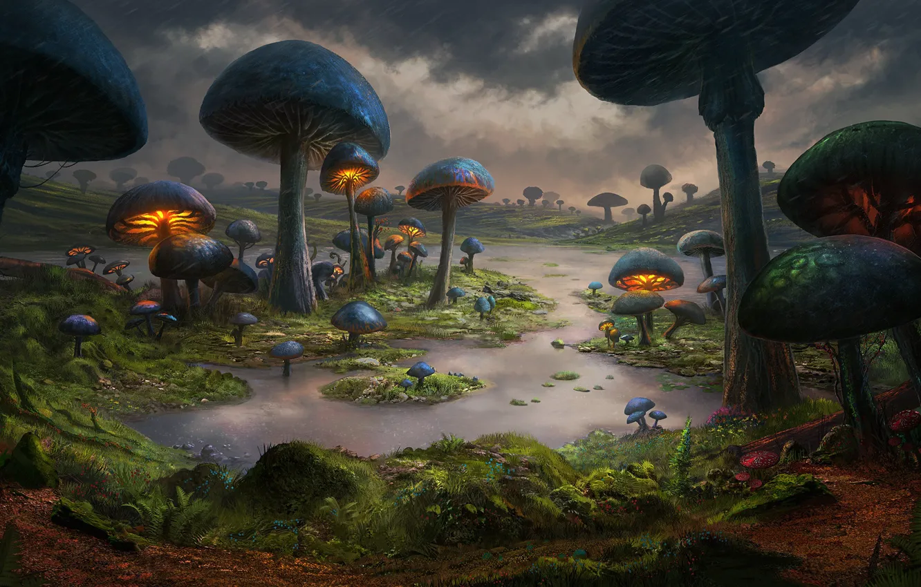 Photo wallpaper Nature, Figure, Mushrooms, The world, World, Fantasy, Art, Art