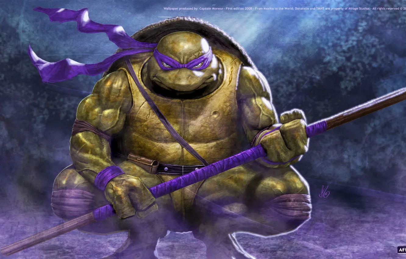 Photo wallpaper ninja, bug, Donatello