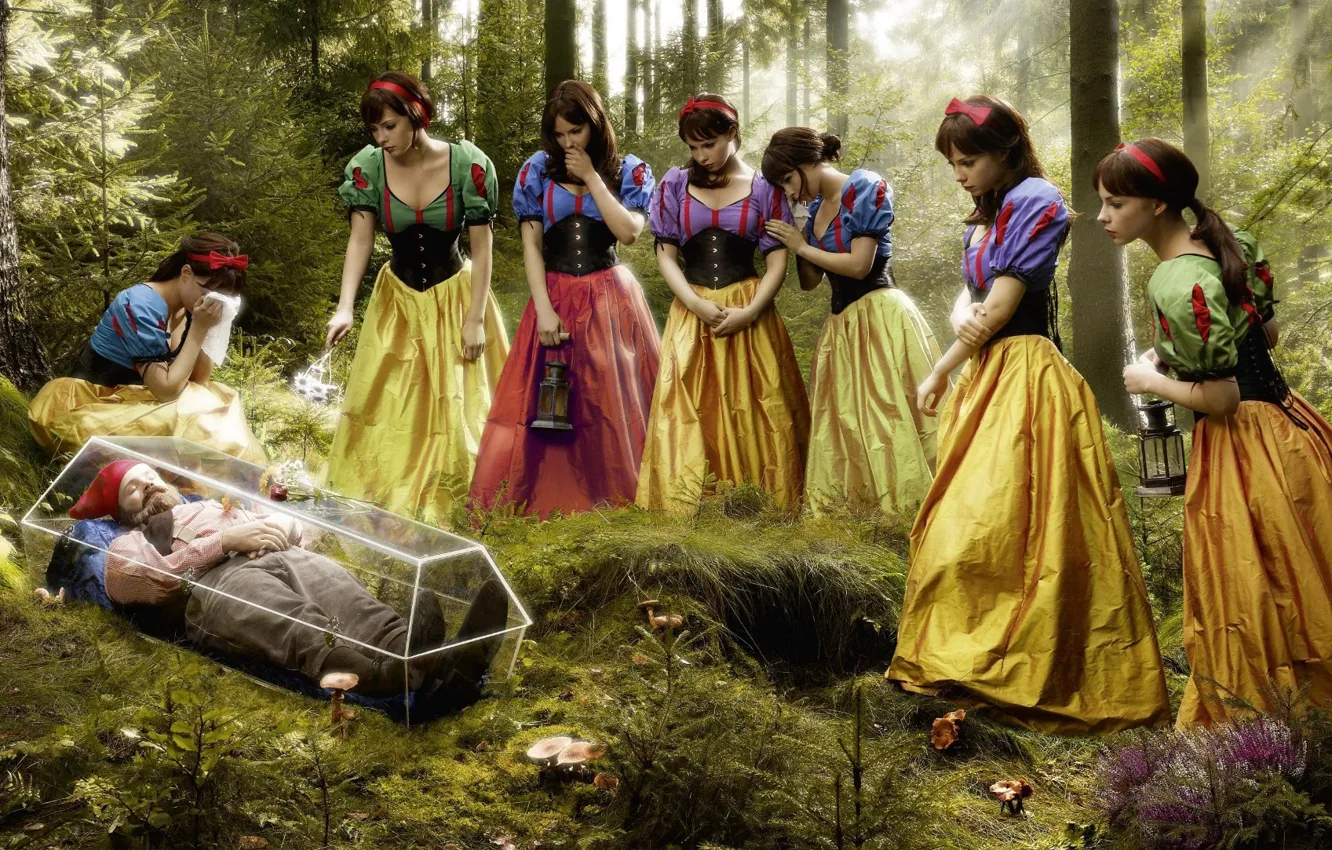 Photo wallpaper sadness, forest, humor, on the contrary, And 7 dwarf snow white