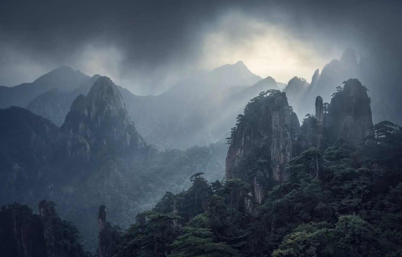 Photo wallpaper forest, clouds, trees, mountains, fog, overcast, rocks, vegetation