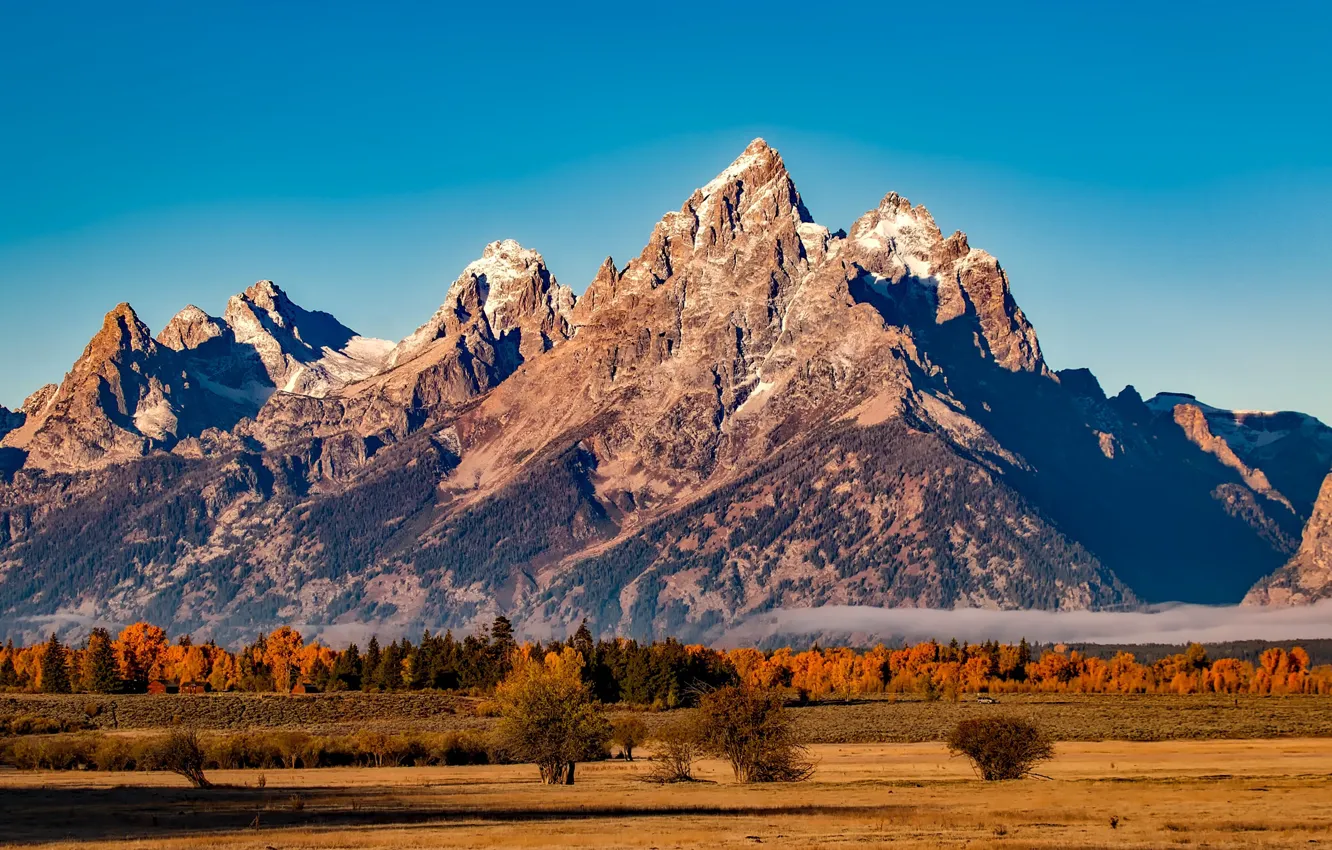 Photo wallpaper field, autumn, the sky, the sun, trees, mountains, rocks, plain