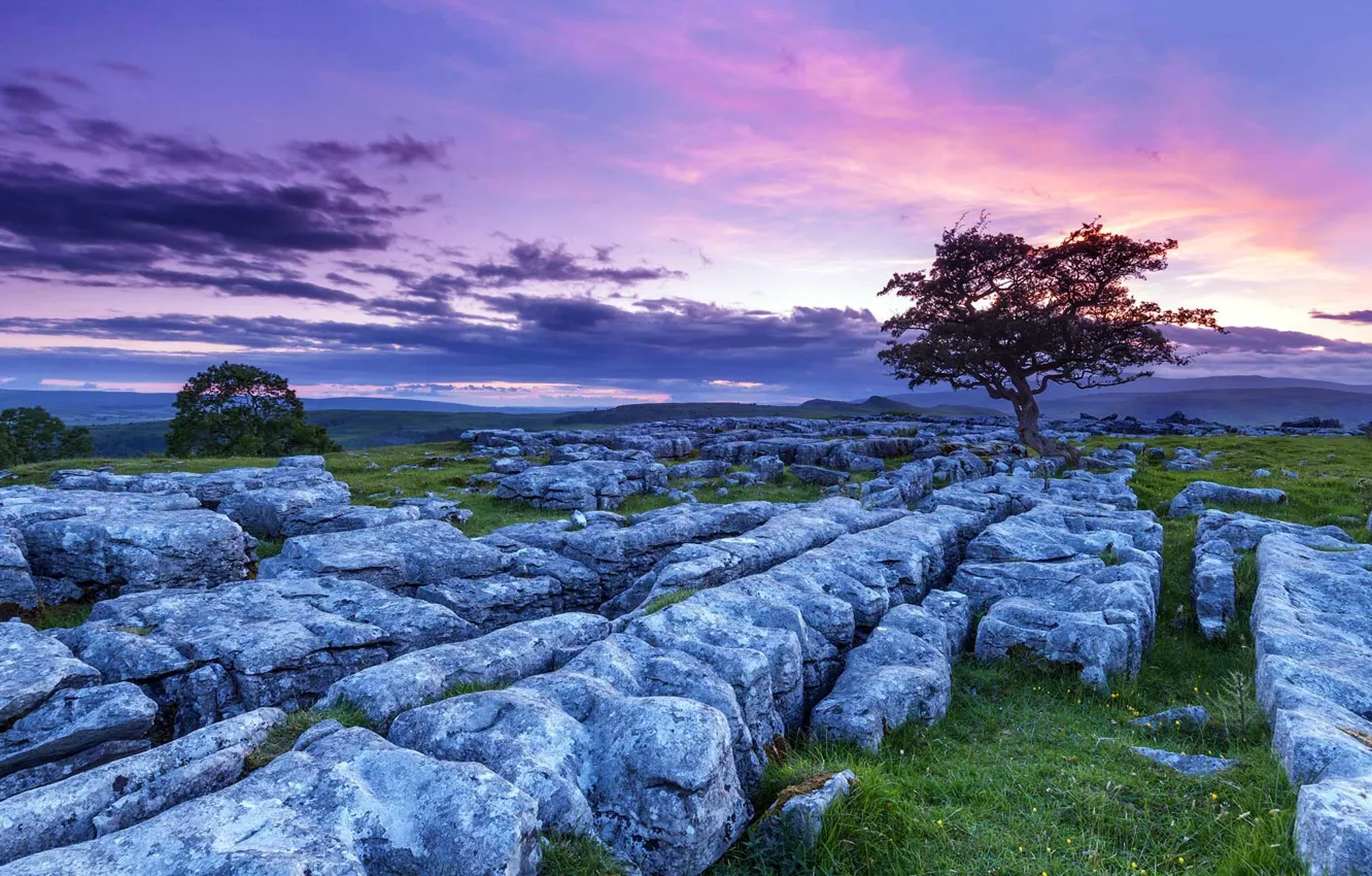Photo wallpaper clouds, trees, stones, England, glow, The Yorkshire Dales