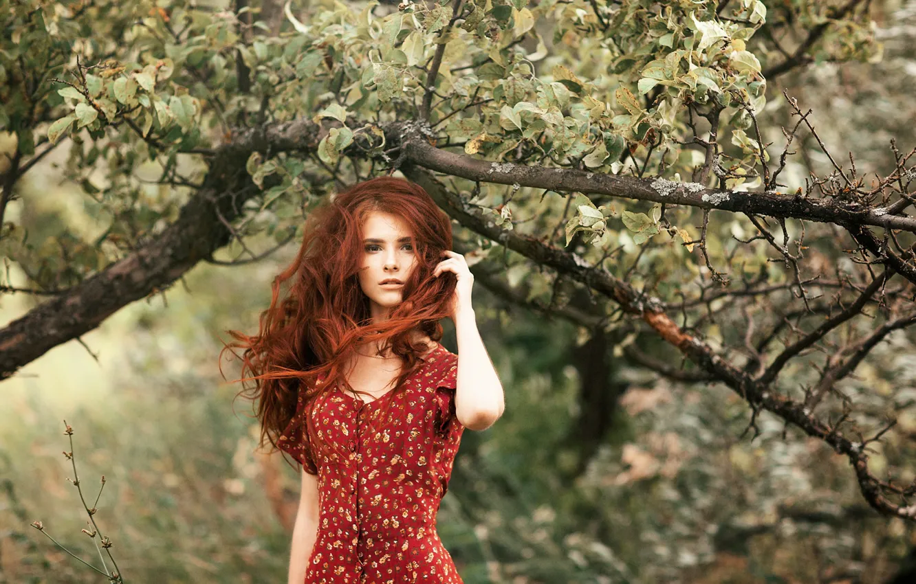Photo wallpaper look, girl, trees, branches, pose, hair, red, redhead