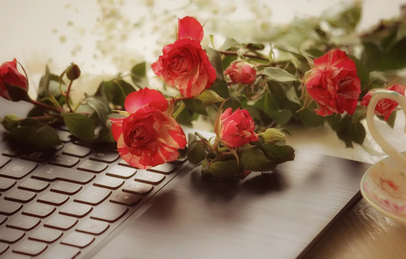 Photo wallpaper flowers, table, roses, bouquet, blur, button, Cup, red
