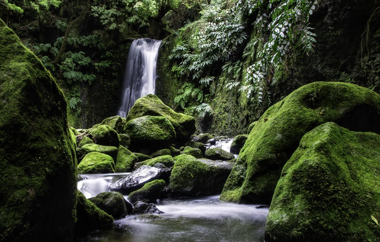 Photo wallpaper nature, stones, waterfall, moss