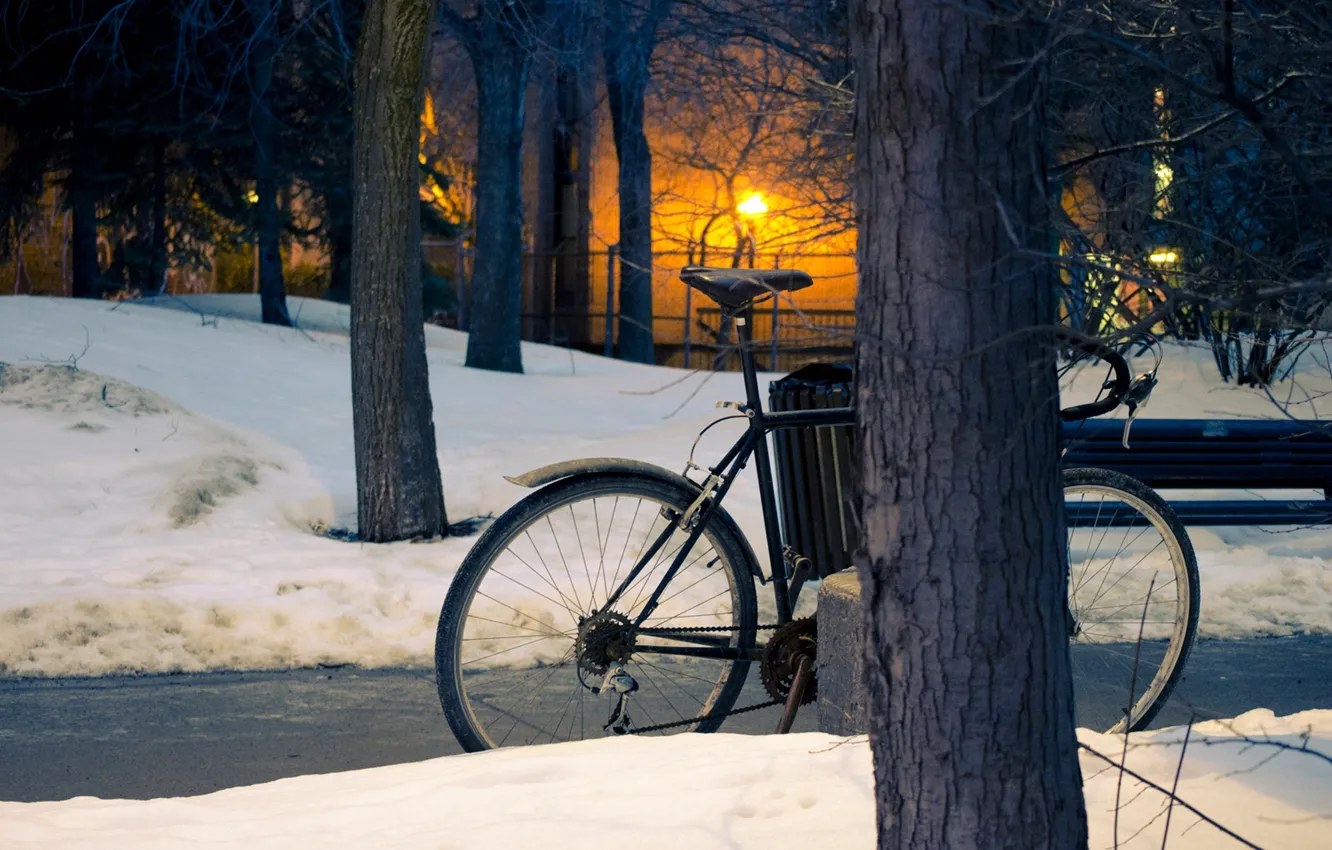 Photo wallpaper winter, the sun, snow, trees, sunset, Park, street, trees