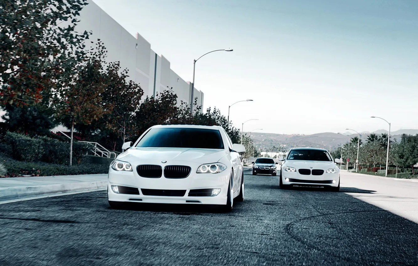 Photo wallpaper white, tuning, BMW, 1013mm, bmw 5