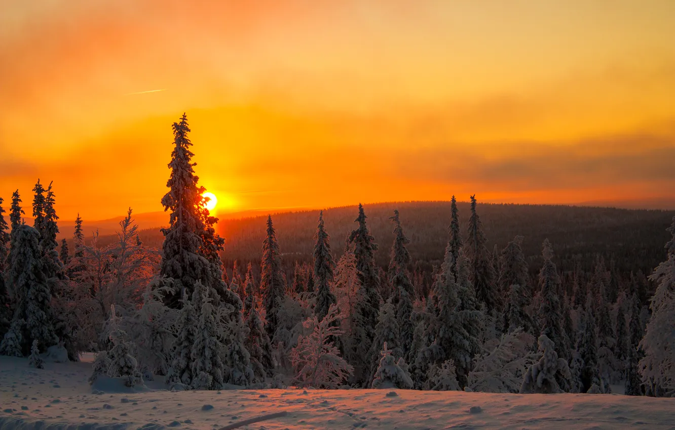 Photo wallpaper winter, the sky, clouds, snow, trees, sunset, mountains, Finland