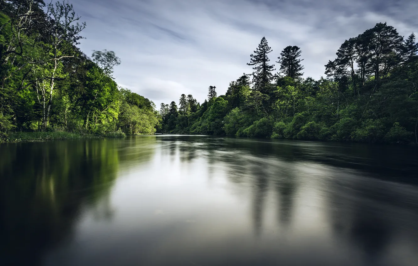 Photo wallpaper forest, the sky, trees, landscape, nature, river