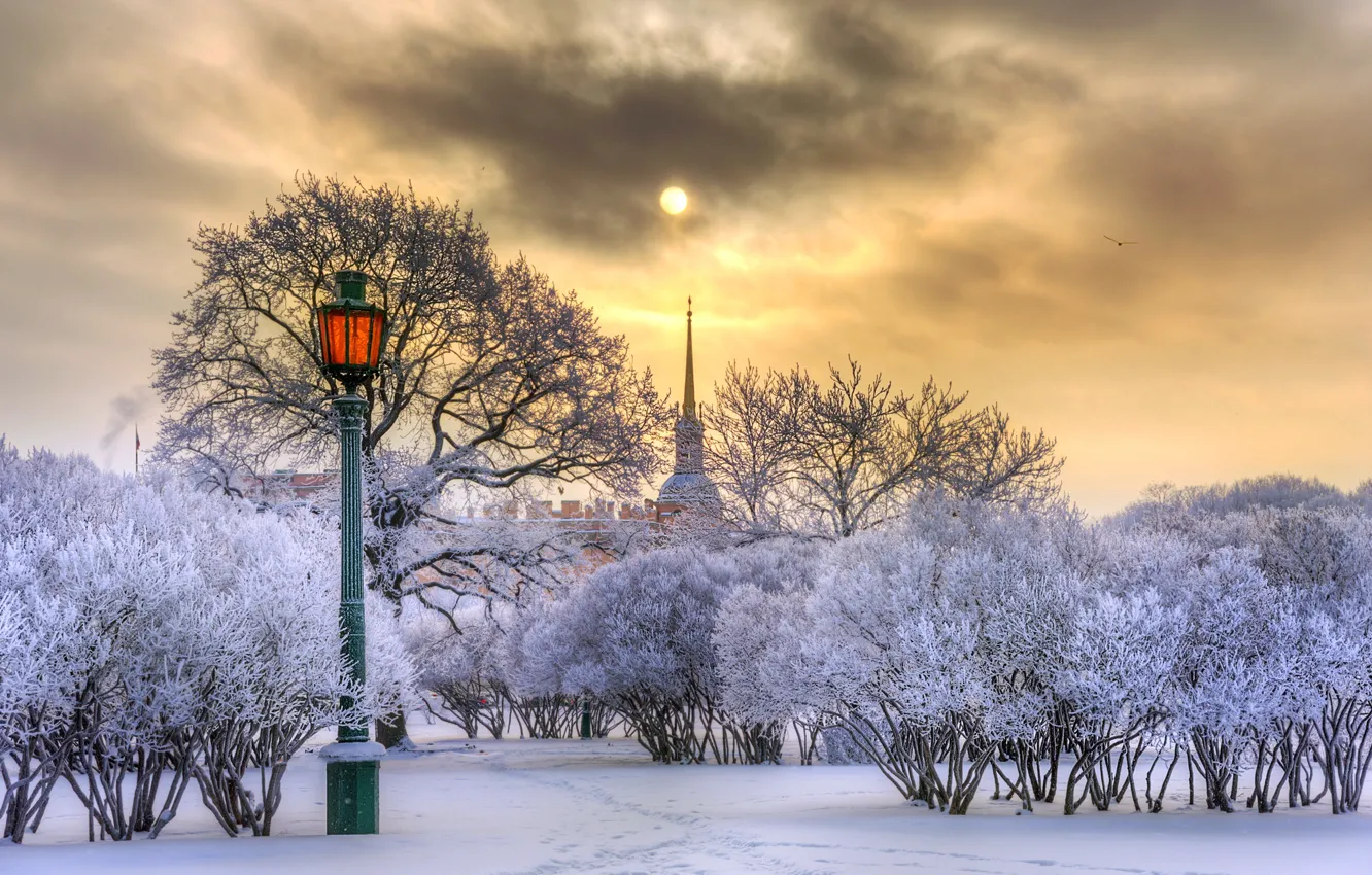 Photo wallpaper winter, the sun, snow, trees, the city, Peter, Saint Petersburg, lantern